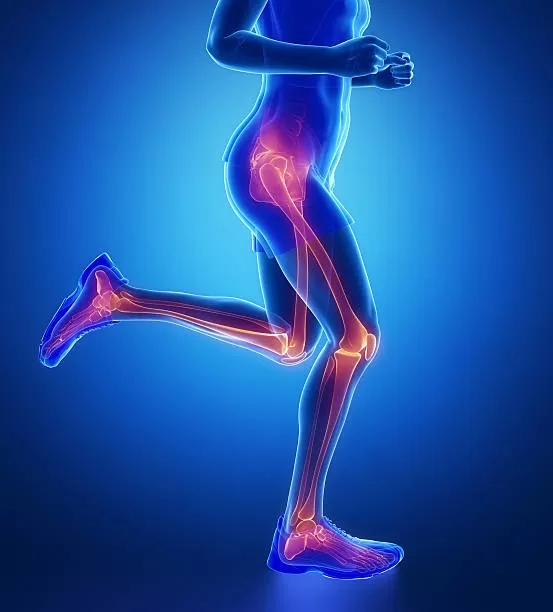 Jambe : os situés entre la jambe et le genou à Bellignat